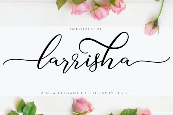 Larrisha: A Modern Script for Creative Expression
